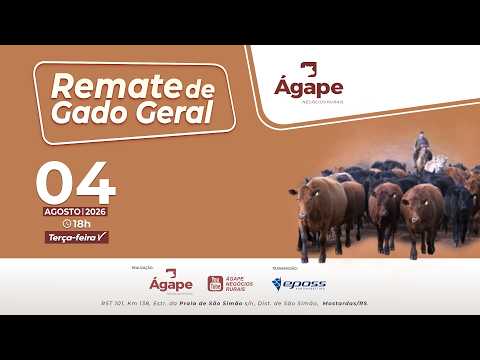 Remate de Gado Geral - 04 de Agosto - Mostardas/RS