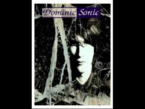 Dominic Sonic - La folle de Saint Lunaire
