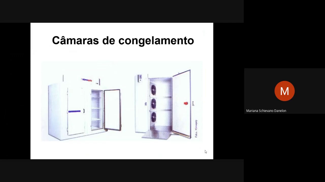 Congelamento de alimentos