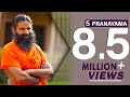 5 Pranayama You Should Practice Daily