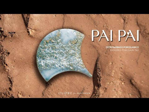 Imagen representativa video