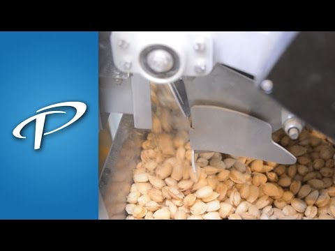 Série E-55 - Doseuse pondérale à pesées nettes - Premier Tech avec options multiples et haute précision_1