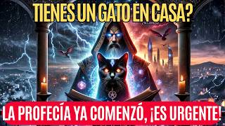 Lo que Nostradamus Predijo para los Dueños de Gatos en 2026 ¡Ya Comenzó! | Profecía Impactante