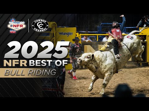 Nfr Vs Pbr
