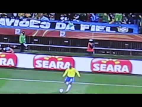 Brazil vs. North Korea 2010 World Cup (Fan thrown from Stands)