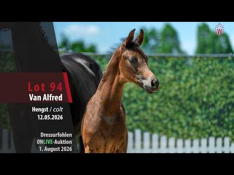 youtube preview