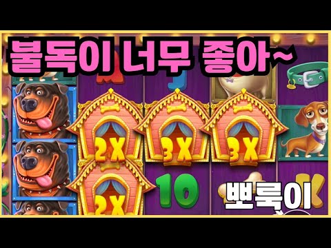 [슬롯][제보영상][닉네임:뽀룩이]700배