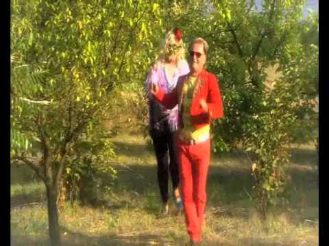 Tabun dzikich koni pędzi przez doliny TELEDYSK