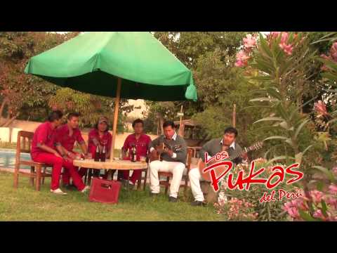 Tu Mal Amor - Los Pukas Del Peru