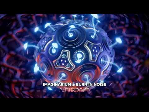 Burn in Noise Vs Imaginarium - Mushrooms