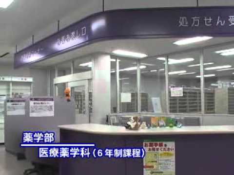 薬学部　医療薬学科