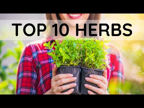 , title : 'Top 10 Herbs to Grow and sell for Profit'