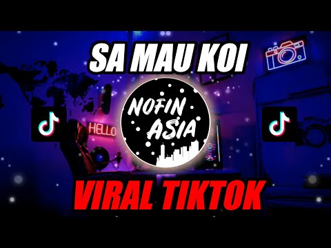 DJ SA MAU KOI KO MAU DIA (MYANMAR) | Official Nofin Asia Remix