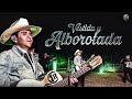 VESTIDA Y ALBOROTADA -  CORNELIO D. REYNA