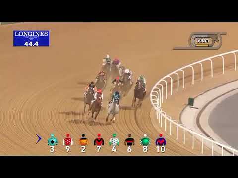 X Y JET Dubai Golden Shaheen (G1) 2018
