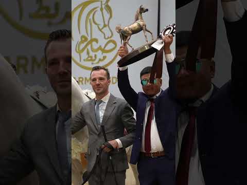 Enjoy the power of the Arabian Champion Stallions at the 2024 All Nations Cup