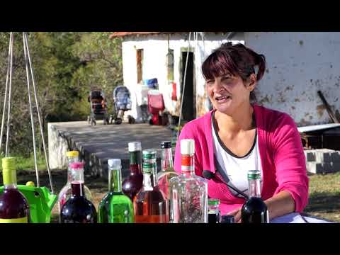 Biram selo ep. 58 28.10.2020. Selo Mlačište, Dalibor i Olivera Savić, buša, mangulica, maline, pčele