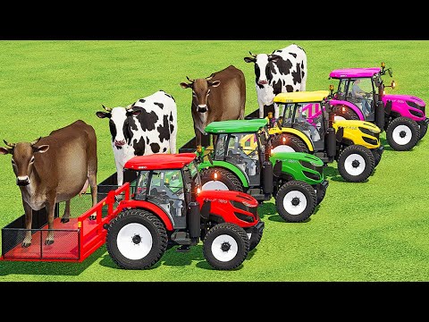 TRACTOR OF COLOR! TRANSPORTING COWS WITH COLORED ISEKI TRACTORS & MAN TRUCKS   Farming Simulator 22