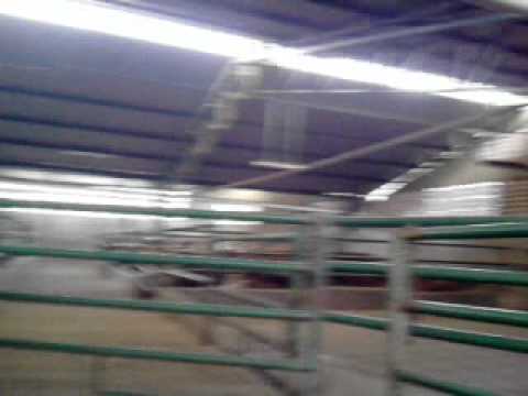 corrales del frigorifico