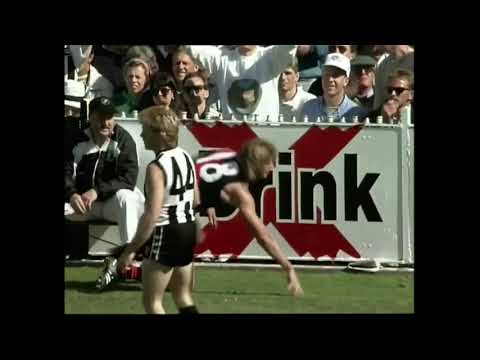1990 AFL grand final Brawl