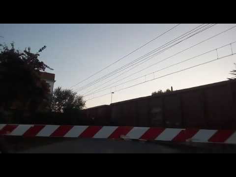 Transito MRS V.S.G.B.-Bologna Interporto