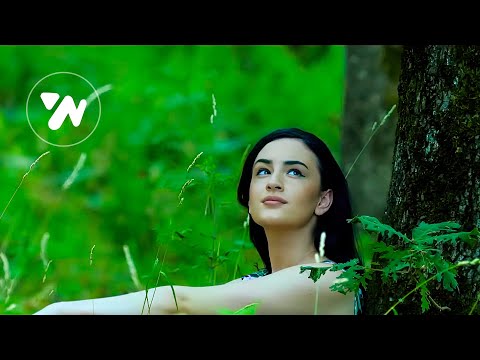 Vaske Curri  - O se ç'na ra debora | Kolazh (Official Music Video)