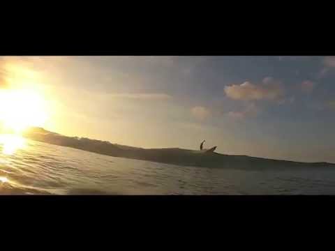 Road Ranger Adventure: Chapter2 - South-West France