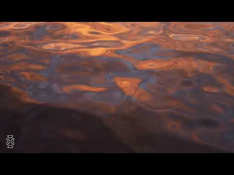 Nurali ╚═ Future Intel  ═╗ 1 14 2021