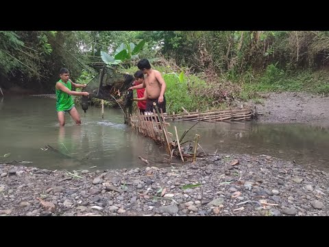 pagpandaw ng bislig, panak, bantak | andaming talangka | @kaloysadventuretv