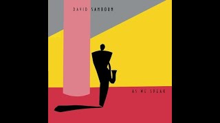 Back Again- David Sanborn