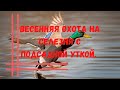 Весенняя охота с подсадной уткой на селезня