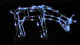 100 White Solar LED Reindeer Xmas Display: 74x48cm