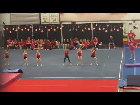 Gymnastics Christmas Show