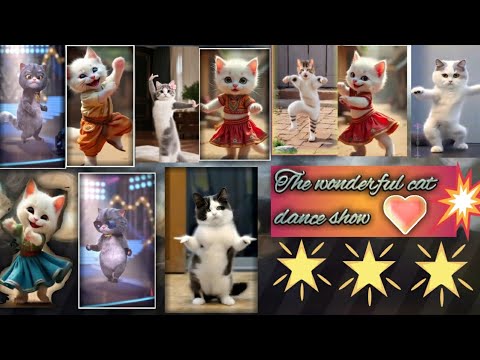 The wonderful cat dance show 🤩| unbelievable performance 🌟 by cats