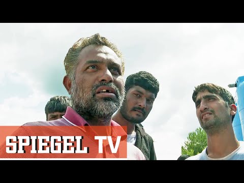 Die Schande von Bihać: Flüchtlinge auf der Mülldeponie | SPIEGEL TV