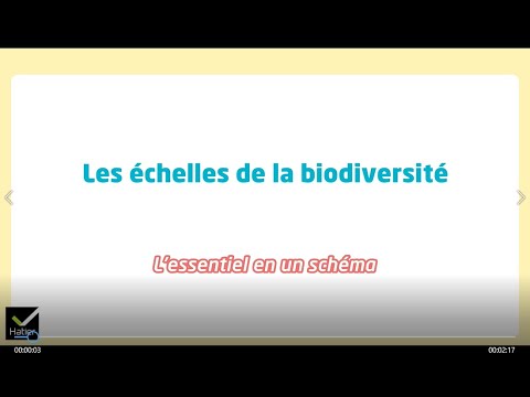 SVT 2de - Schéma bilan : Les échelles de la biodiversité