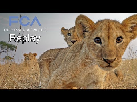 FCA Replay: August 9, 2019