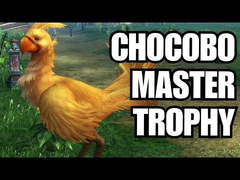 How to get the Chocobo Master Trophy on Final Fantasy X!