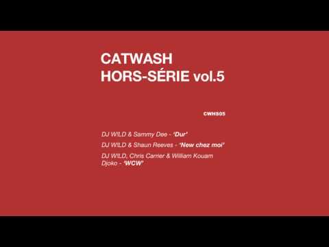 DJ W!ld & Shaun Reeves - New Chez Moi (Catwash)