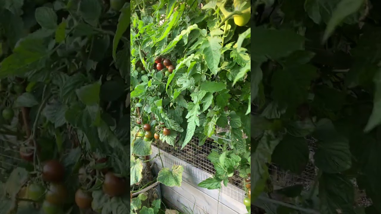 3 rum Fritidshus på Syrengången 136 Jägershill 34 Malmö kommun - video