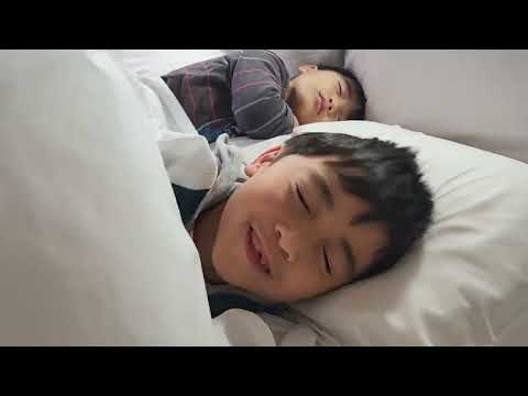 Melbourne Discovery Parks