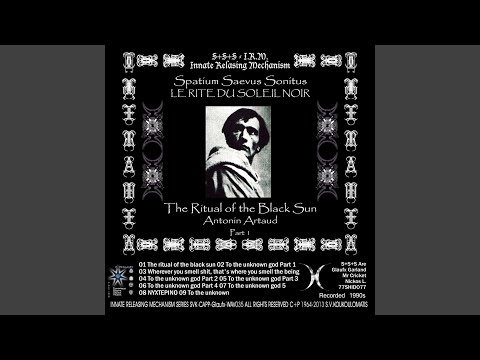 The Ritual of the Black Sun