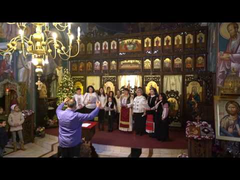 Corul Bisericii Ortodoxe Mosnita Noua