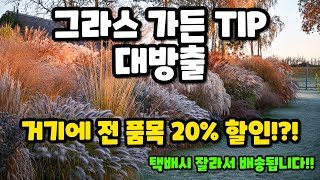 그라스 가든의 엄청난 팁을 대방출합니다!!!!! 게다가 그라스 전 품목 20% 할인까지!?!?