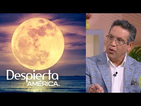 Sign by sign, these are the effects of the pink moon | Wake Up America