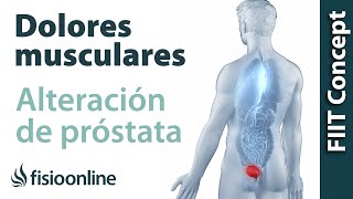 Próstata - Problemas articulares y musculares que puede provocar