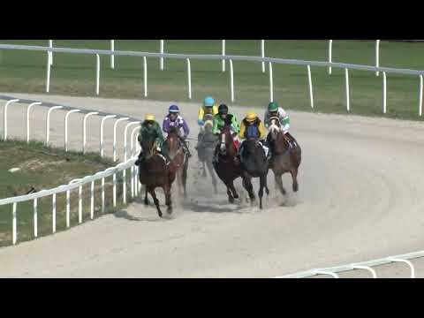 2022.08.28. 07. futam - ALFKONA HENDIKEP (I.o.) (szintetikus pálya)