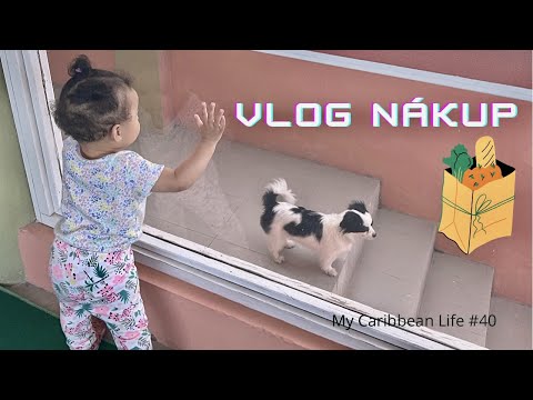 VLOG, NÁKUP POTRAVIN