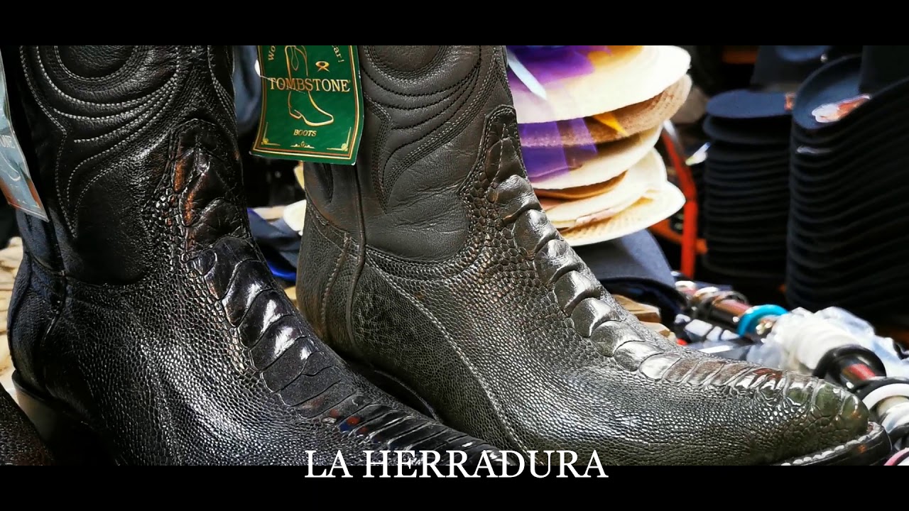 Watch Bota De Pata De Avestruz Original / Ostrich Leg Western Boots Now Bota De Pata De Avestruz Original / Ostrich Leg Western Boots