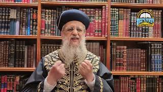 סוכות תשפ"ו: הקשר בין החלטת ממשלה לסוכות - מרן הראשון לציון הרב דוד יוסף (מוסדות יחווה דעת) - התמונה מוצגת ישירות מתוך אתר האינטרנט יוטיוב. זכויות היוצרים בתמונה שייכות ליוצרה. קישור קרדיט למקור התוכן נמצא בתוך דף הסרטון